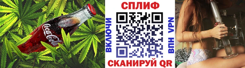 где найти   Сураж  Cannafood конопля 