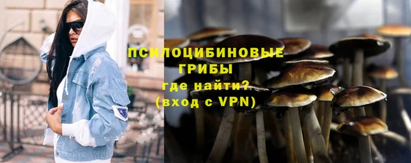 дурь Алексеевка