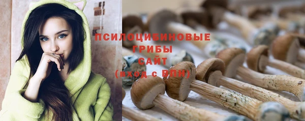 гашик Абдулино