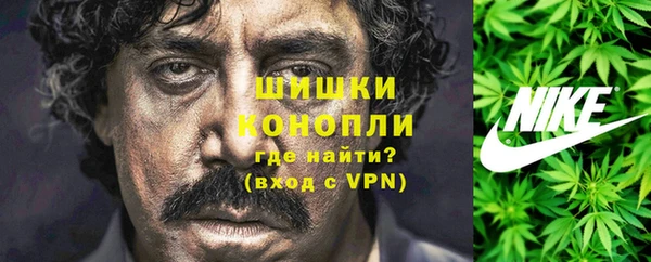 spice Алексин