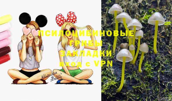 спиды Алзамай